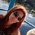 Vanessa Nino Alexander's profile image