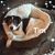 Margaret Spittler's profile image