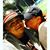 Brian Bustamante's profile image