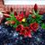 Jennifer Beliveau's profile image