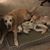 Sandi Clements-Owens's profile image