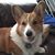 Amy Morrissette McGarry's profile image