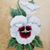 Melanie Colbeth's profile image