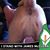 John Tormey's profile image