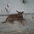 Diana Whitehead's profile image