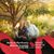 Kristina Whitesell's profile image