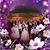 Pat Laffey Dunlap's profile image