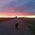 Lindsey Rohrbaugh's profile image