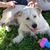 Teresa Lorentz's profile image