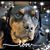 Debbie Rasmussen's profile image