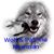 Wolf Newman's profile image