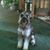 Leanna Johnson's profile image