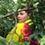 Chloe Currier's profile image