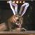 Keith McWilliams's profile image
