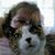 Suzanne Wirth's profile image