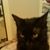 Robert Routh's profile image