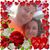 Glenn Hermanson's profile image
