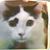 Lois Carr Goyden's profile image