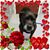Sandy Kalar's profile image
