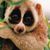 David Kemlage's profile image