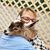 Michelle Olszewski Lisle's profile image