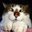 Janet Buckingham Stoda's profile image