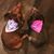 Silvia Chivis's profile image