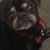 Kelly J Robinson's profile image