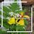 Kathy Stumpo-Rocchetti's profile image