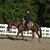 Tim Leenhouts's profile image