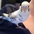 Danielle Ostrand's profile image