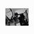 Debbie Bell Nelson's profile image