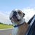 Jennifer Davidson's profile image