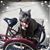 Sharon Degen's profile image