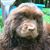 Nancy Vos's profile image