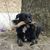 Kelly Page's profile image