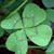 Tricia Sterling-Moore's profile image
