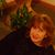 Saundra Sapp's profile image