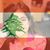Dina Ayoub K Moussa's profile image