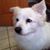 Kim Goldmann's profile image