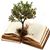 Barbara Hughes's profile image