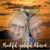 Debbie Grove Barton's profile image
