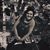 Carrie Kilbourn Pachal's profile image