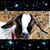 Lorinda Keel's profile image