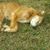 Christina Linthicum's profile image