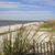 Sharon Pendarvis Murray's profile image