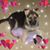 Rina Rod's profile image