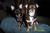 Bettye G.'s profile image