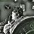 Reen Rhena's profile image