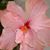 Donna Seigler's profile image